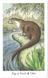 Tarotkaart 'Schildknaap van Kelken'