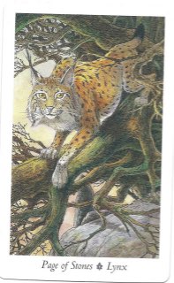 Tarotkaart 'Schildknaap van Pentagrammen'