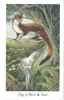 Tarotkaart 'Schildknaap van Staven'