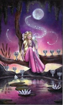 Tarotkaart 'Negen van Kelken'
