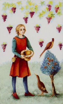Tarotkaart 'Schildknaap van Kelken'