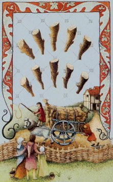 Tarotkaart 'Tien van Staven'
