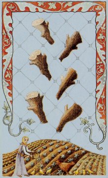 Tarotkaart 'Zes van Staven'