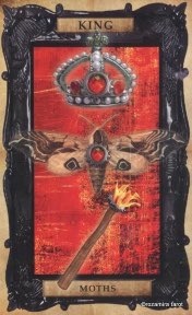 Tarotkaart 'Koning van Staven'