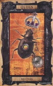 Tarotkaart 'Koningin van Pentagrammen'
