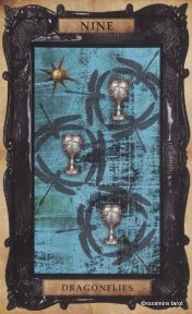 Tarotkaart 'Negen van Kelken'
