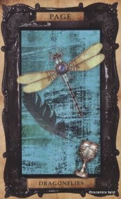 Tarotkaart 'Schildknaap van Kelken'