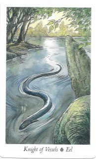 Tarotkaart 'Ridder van Kelken'
