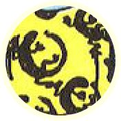 Tarotsymbool Hagedis
