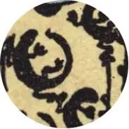 Closeup van het symbool Hagedis in de tarotkaart Ridder van Staven