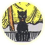Tarotsymbool Kat