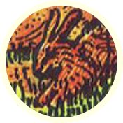 Tarotsymbool Konijn