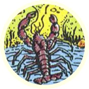 Tarotsymbool Kreeft