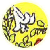Tarotsymbool Lelie