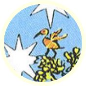 Tarotsymbool Vogel
