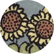 Closeup van het symbool Zonnebloem in de tarotkaart De Zon