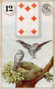 Lenormand kaart 'De Vogels'