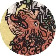 Closeup van het symbool Leeuw in de tarotkaart 