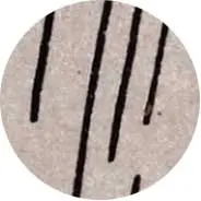 Closeup van het symbool Regen in de tarotkaart 