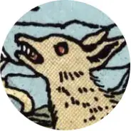 Closeup van het symbool Wolf in de tarotkaart 
